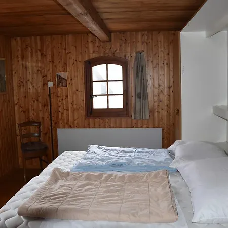 Cricerhaus Apartament
